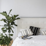 June Queen Storage Bed - Cream